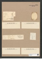 Diatomeae indet. Zeichnungen Sammlung Grunow Nr. 5854 (NHMW-BOT-W0374292)
